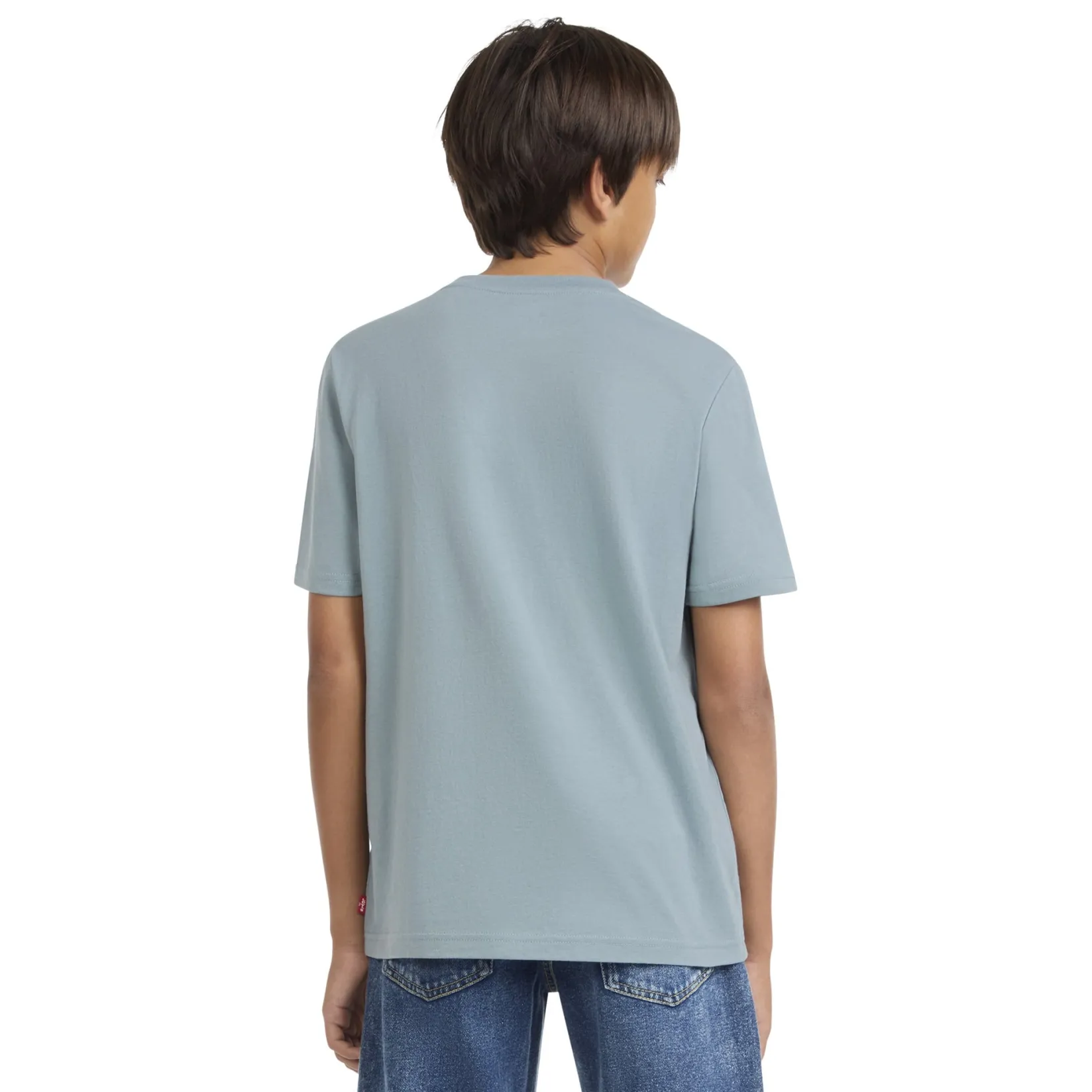 Tops>Levis Parading Hot Dog T-shirt 8-16y Teal