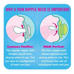 Best Perfect Pacifiers 6 Months+ (2 pack) Pacifiers & Clips|Pacifiers & Clips