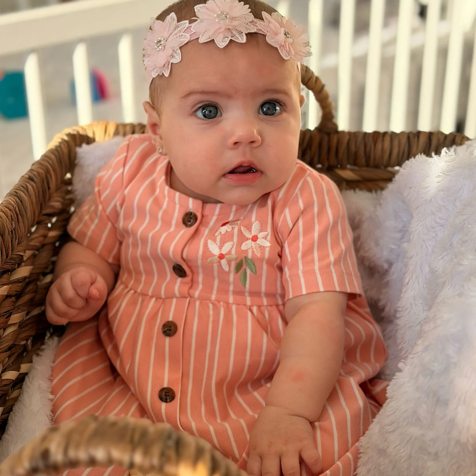 Discount Picnic Striped Dress 3-24m Dresses, Skirts & Outfits