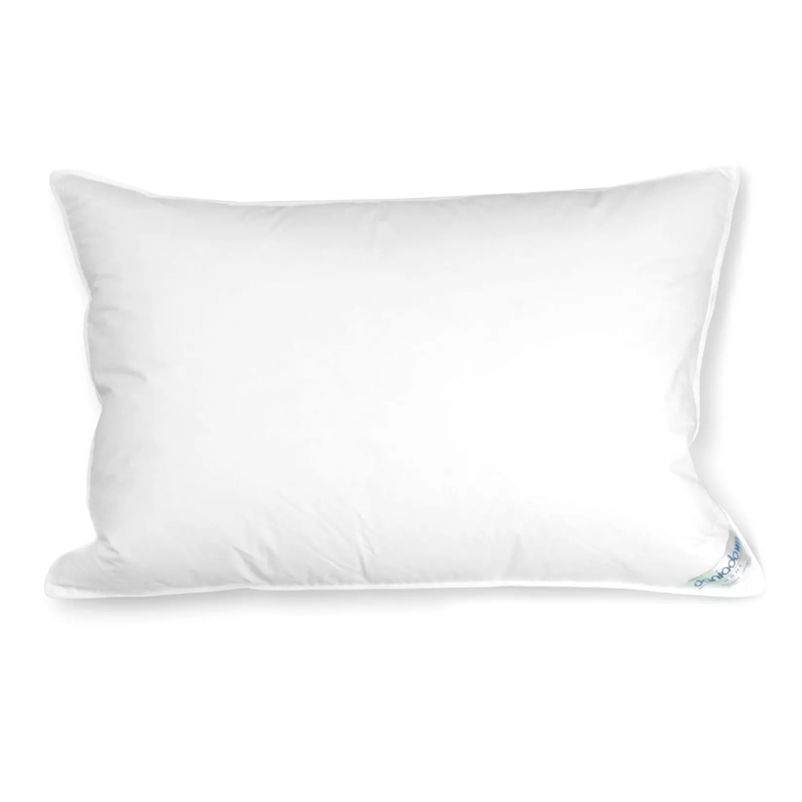 Online Pillow and a pillowcase 16" x 20" Kids Pillows & Pillowcases|Bedding