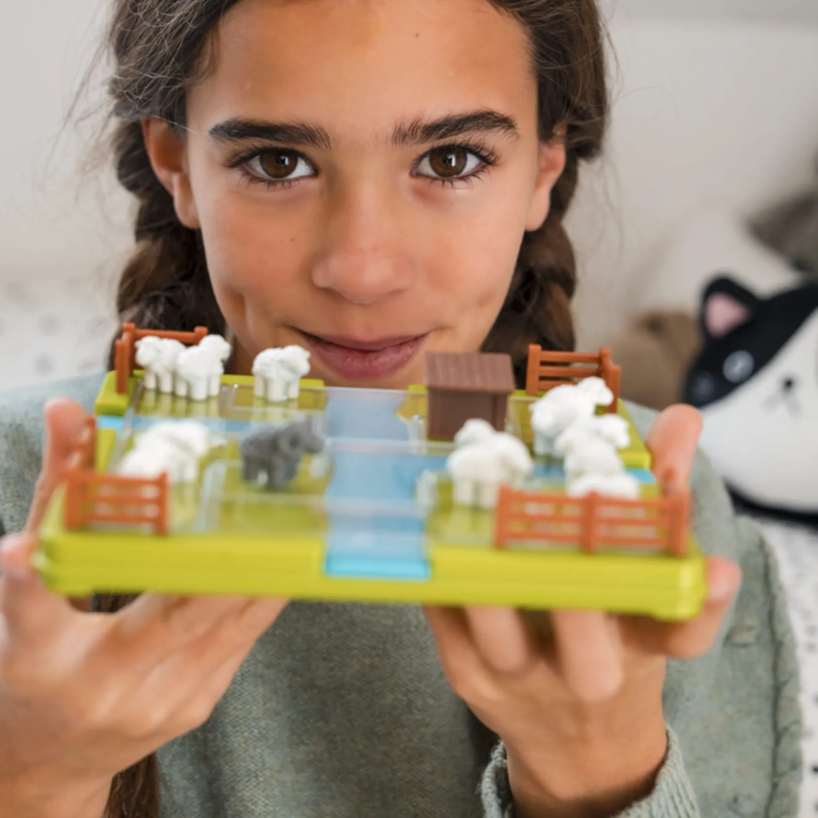 Board Games>Smart Games Pose Moutons