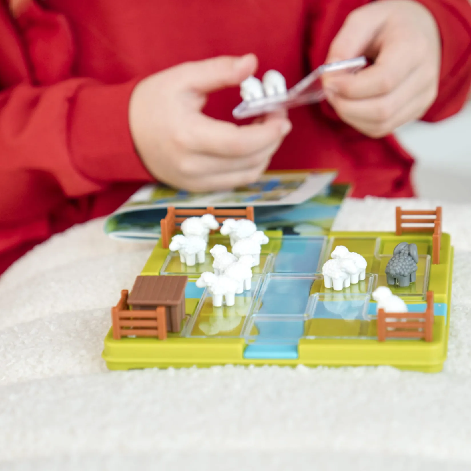 Board Games>Smart Games Pose Moutons