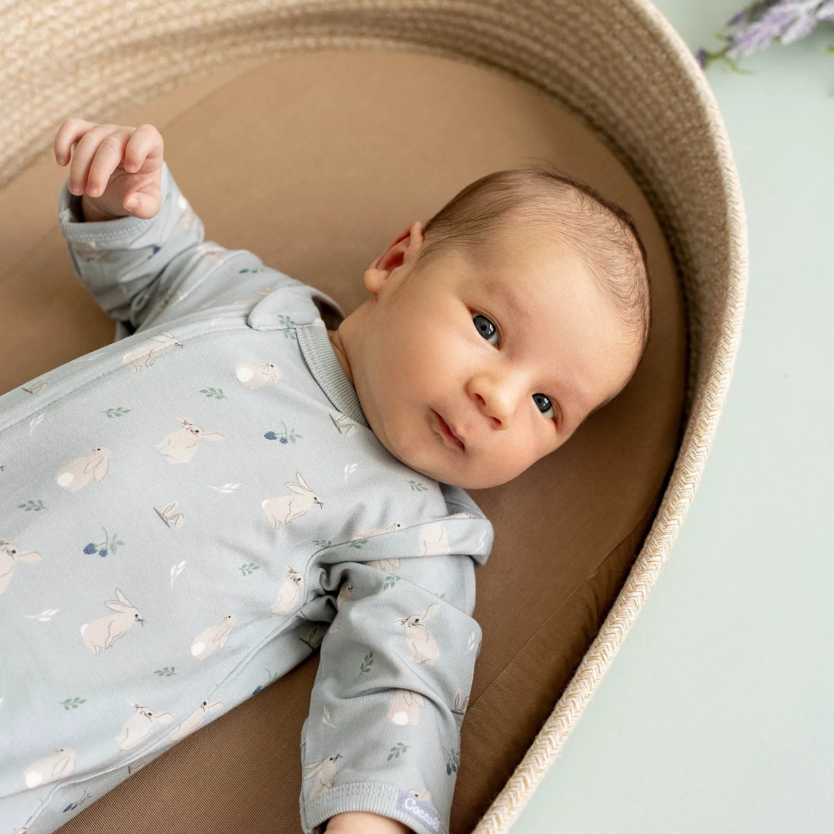 Pajamas|Pajamas>Coccoli Rabbits Pajamas 1-18m Sage