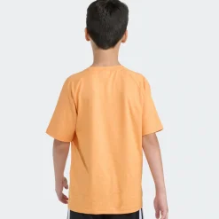 Sportswear|Tops><noscript><img width=