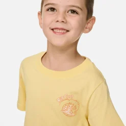 Tops><noscript><img width=