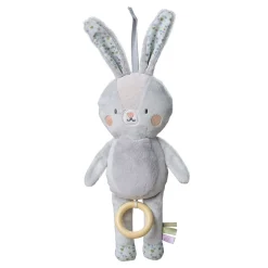New Rylee Musical Bunny Developmental Toys