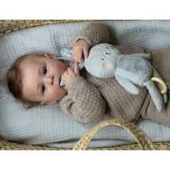 New Rylee Musical Bunny Developmental Toys