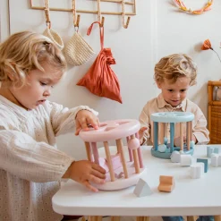 Online Shape Sorting Wheel -Pink Developmental Toys