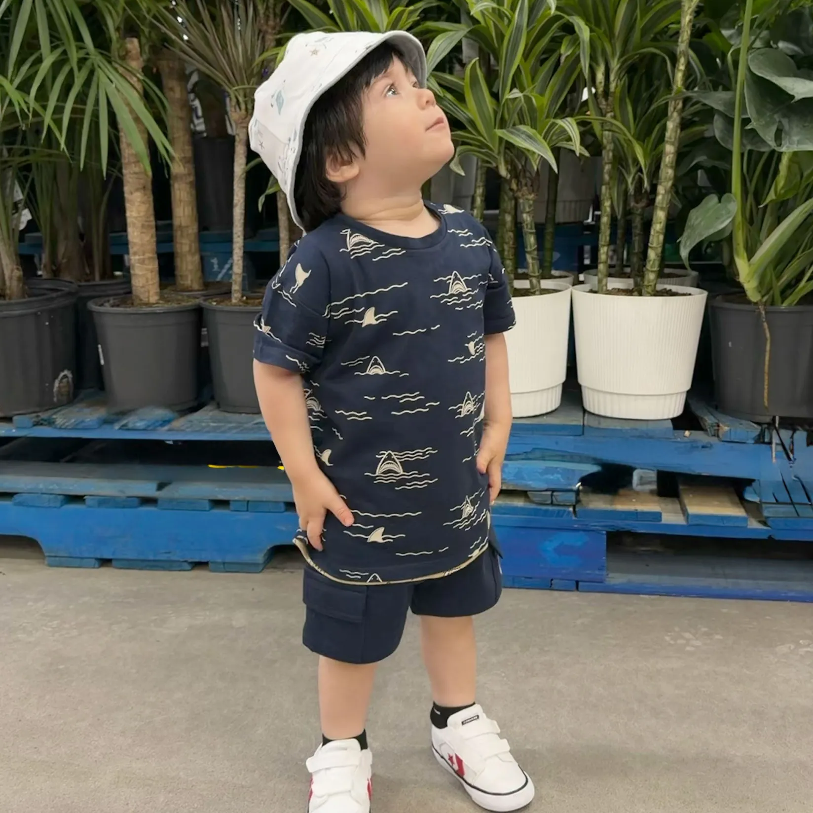 Tops>Camp by Birdz Sharks T-shirt 2-8y Marine