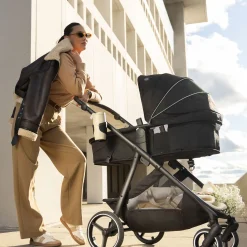 Strollers|Strollers & Trailers><noscript><img width=