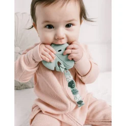 Teething Toys><noscript><img width=