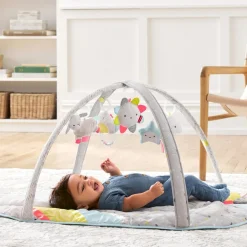 Developmental Toys|Play Mat><noscript><img width=