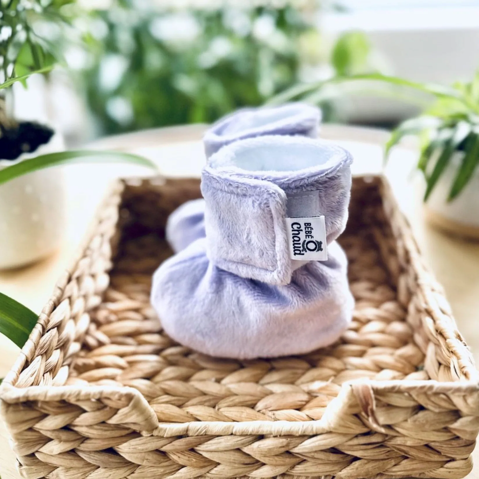 Slippers>Bebe O Chaud Solid Velux Slippers 0-6m Lilac