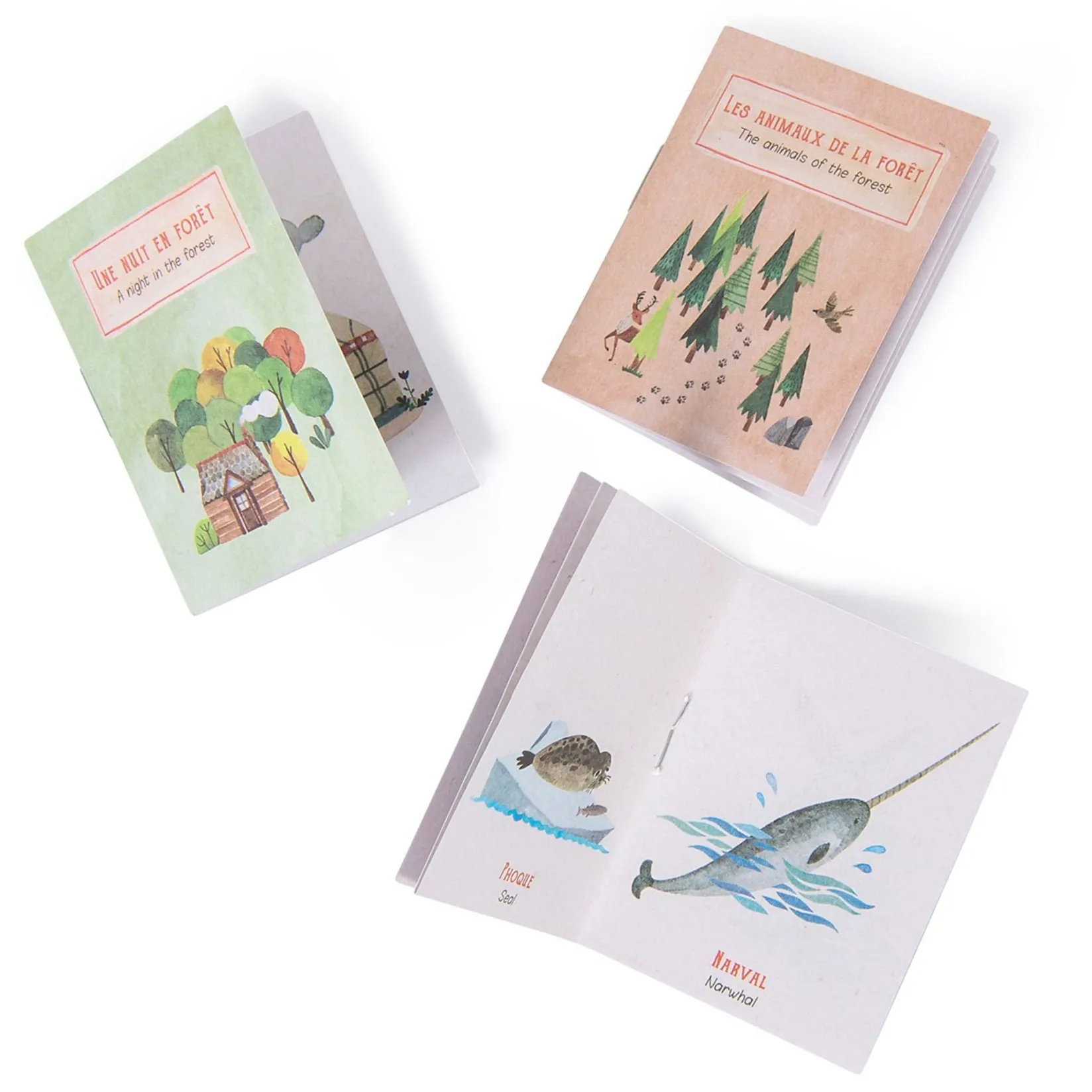 Story Lamps>Moulin Roty Storybook Torch Set - Explorer