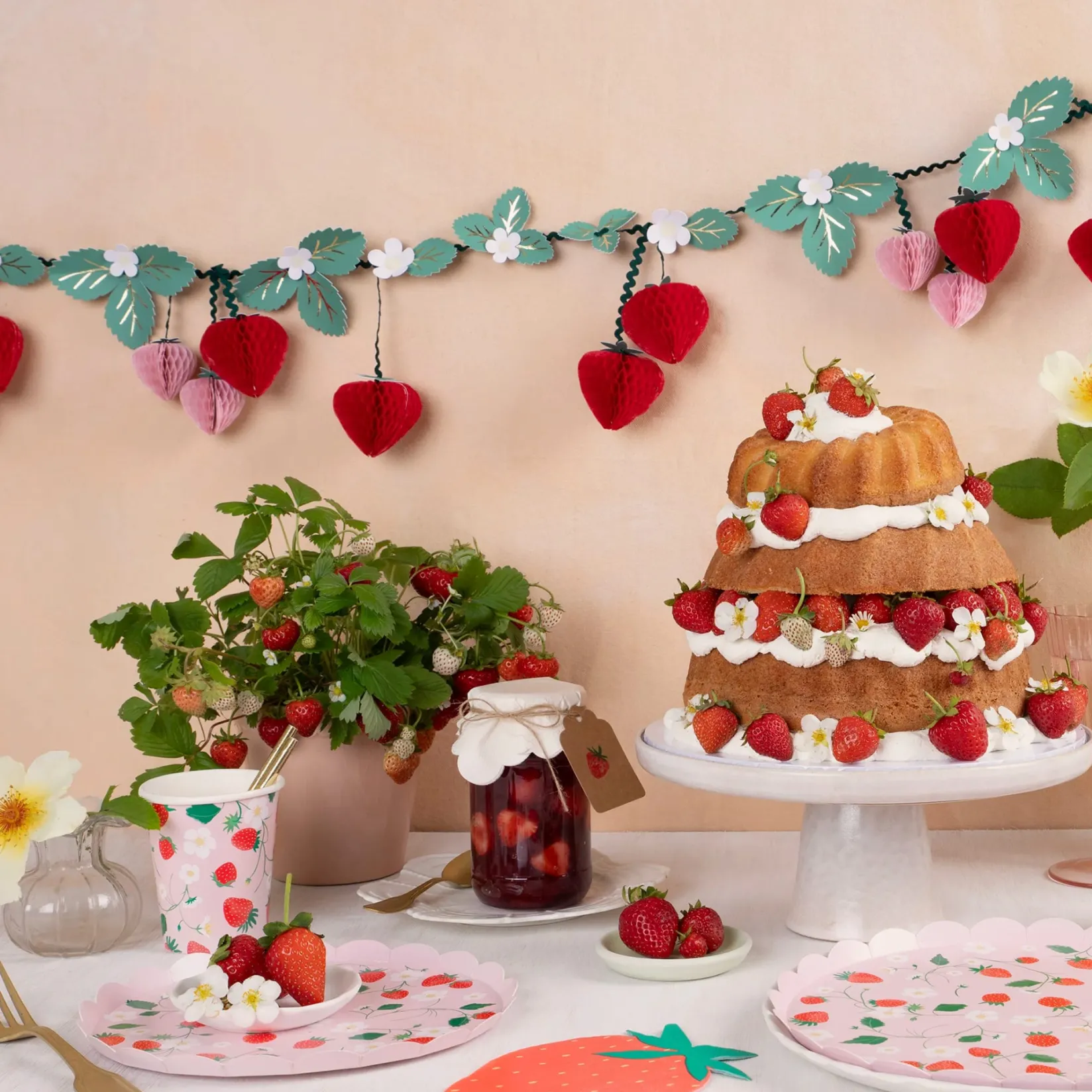 Party Supplies>Meri Meri Strawberry Garland