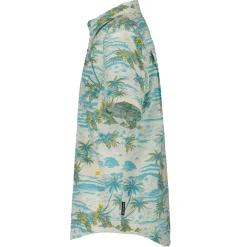 Tops><noscript><img width=