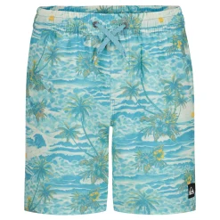 Swimsuits>Quiksilver Surfsilk Mix Volley 4-7 Turquoise