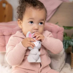 Teething Toys><noscript><img width=