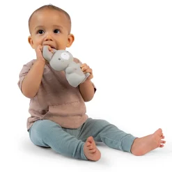 Teething Toys><noscript><img width=