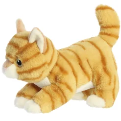 Online Tabby Cat 8.5