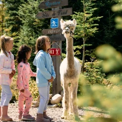 Hot Thermal Chalet Coquet Set 2-14 y Kids Underwear & Socks|Fleeces And Sweatshirts