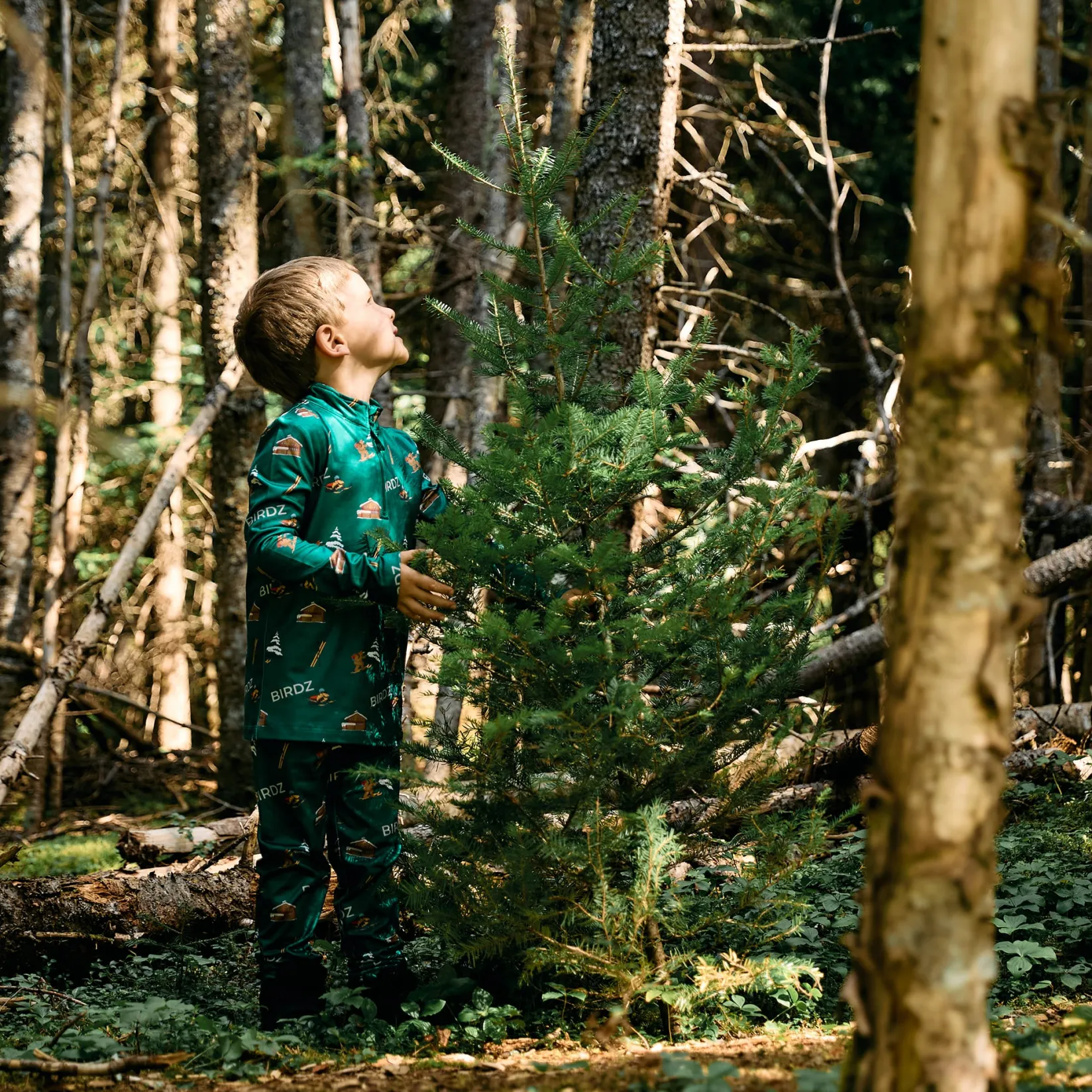 Underwear & Socks|Fleeces And Sweatshirts>Birdz Thermal Chalet Set 2-14 y Forest