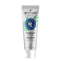 Sale Toothpaste with fluoride Blueberry 120g Oral Care