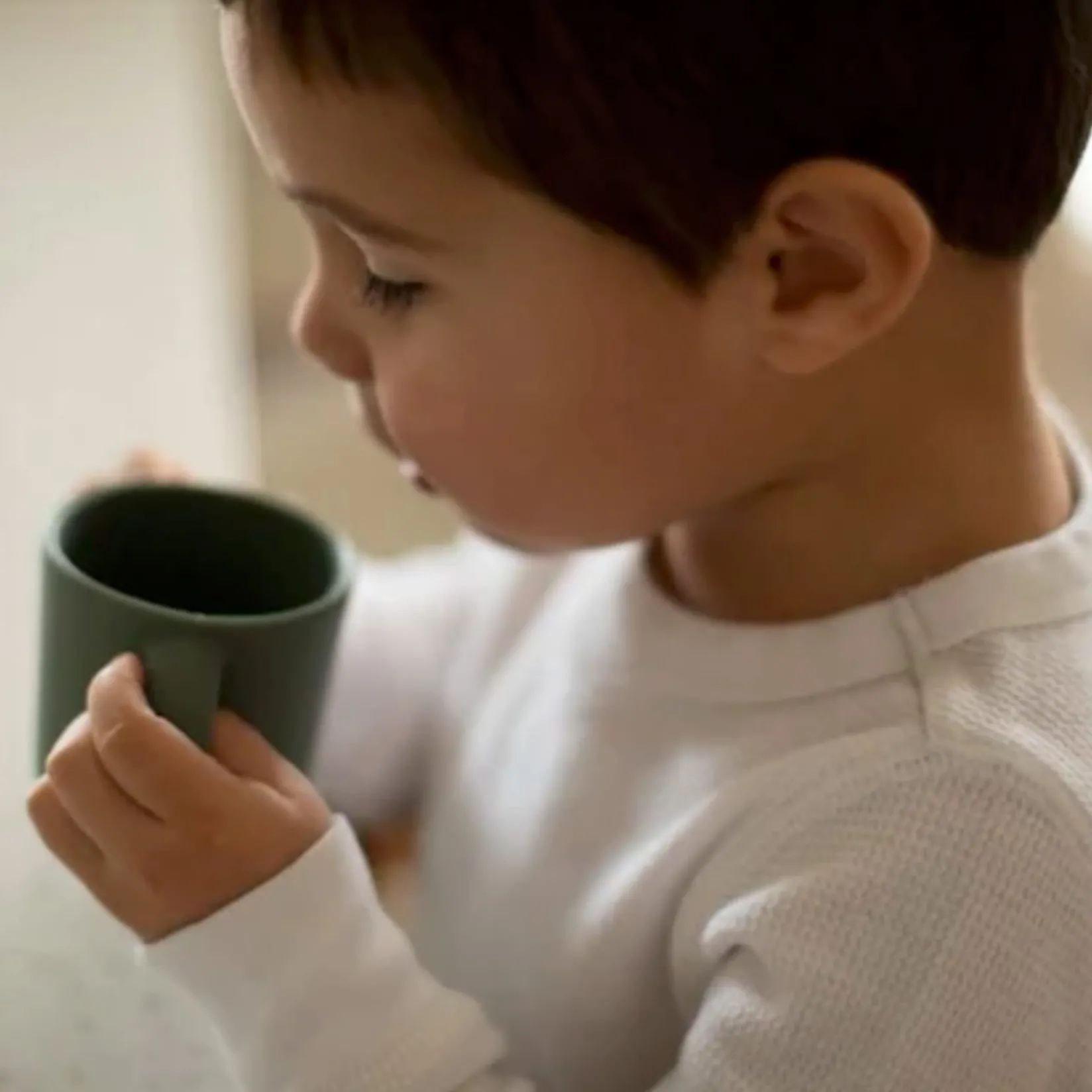 Breastfeeding|Tableware>Nouka Training Cup Fern 8oz