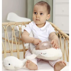 Decorative Objects><noscript><img width=