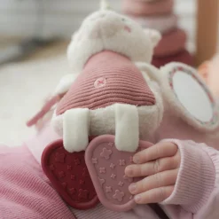 Developmental Toys><noscript><img width=