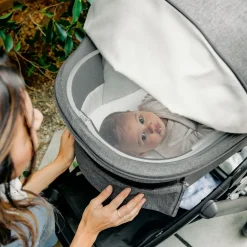 Best Vista/Cruz V3 Bassinet - Greyson Kids Strollers|Strollers & Trailers