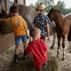 Best West Dip Dye T-shirt 2-12 Kids/BOY Tops