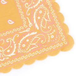 Western Small Napkins (16) Party Supplies