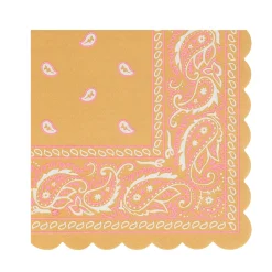Western Small Napkins (16) Party Supplies