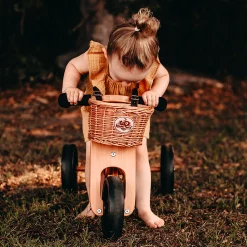 Hot Wicker Bike Basket Kids Bikes And Accessories|Summer Activities